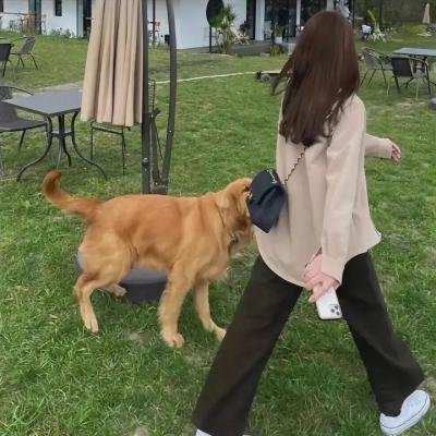 别那么骄傲第二季